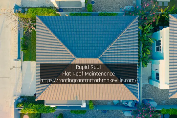 Rapid Roof Picture 9