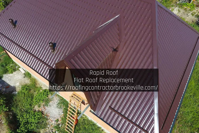 Rapid Roof Picture 10
