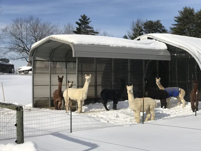 Fowler's Roofing & Construction Picture 5