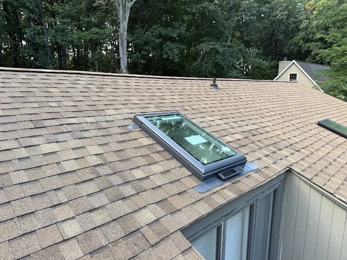 Bravo Roofing Picture 1