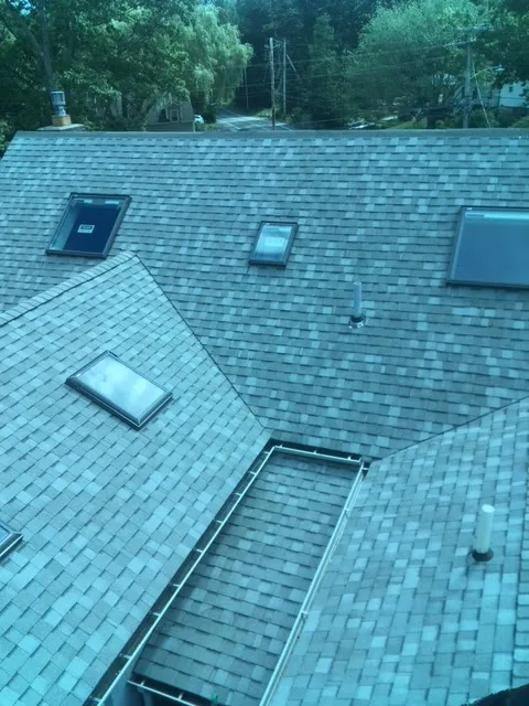 Rose Roofing Picture 7