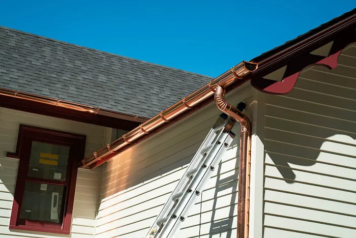 The Brothers That Just Do Gutters Picture 4