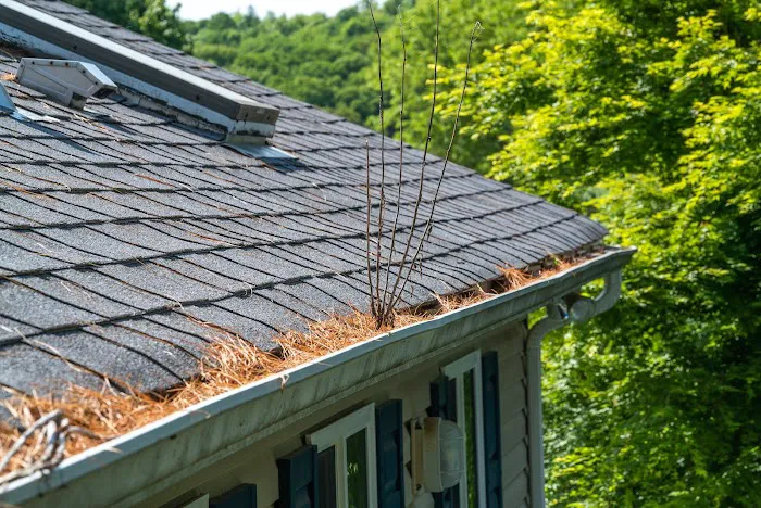 The Brothers That Just Do Gutters Picture 5