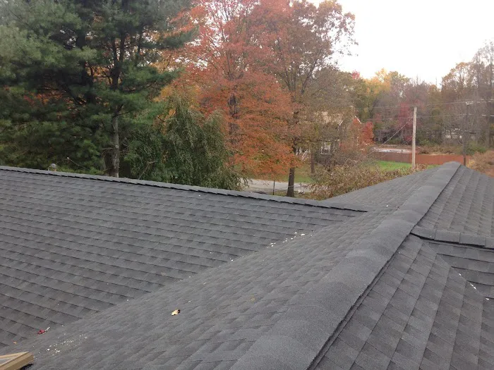Christopher James Roofing Picture 6