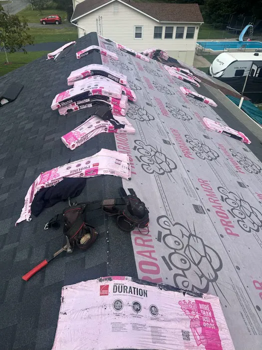 L-Pro Restoration Inc. Picture 5