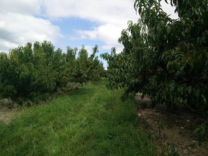 Peterson Home Improvement Picture 1