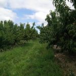 Peterson Home Improvement