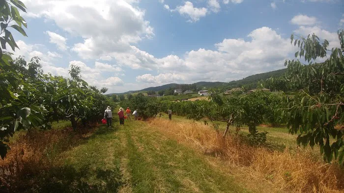 Peterson Home Improvement Picture 3