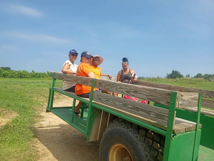 Peterson Home Improvement Picture 4