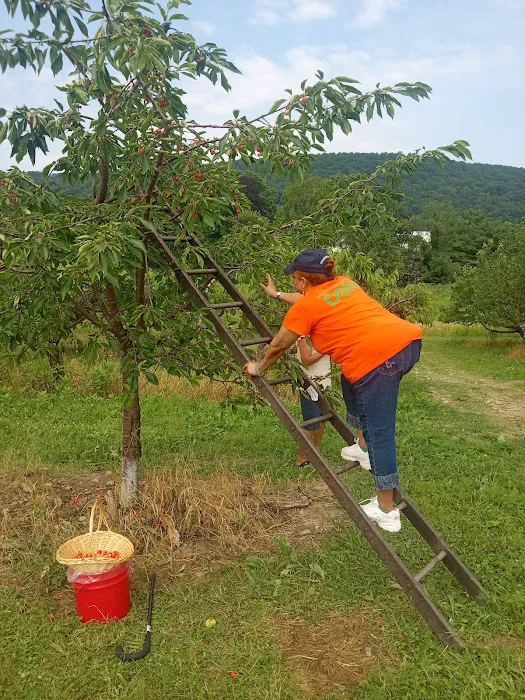 Peterson Home Improvement Picture 5