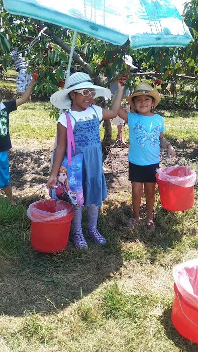 Peterson Home Improvement Picture 7