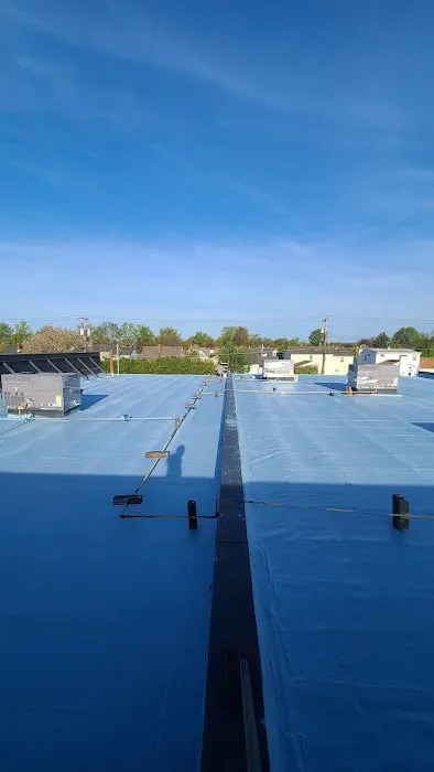DM Roofing Solutions Picture 1