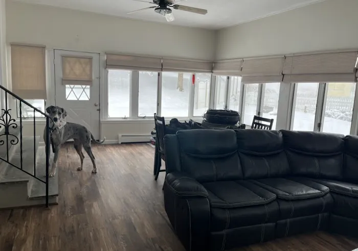 Chefalo Contracting LLC Picture 2