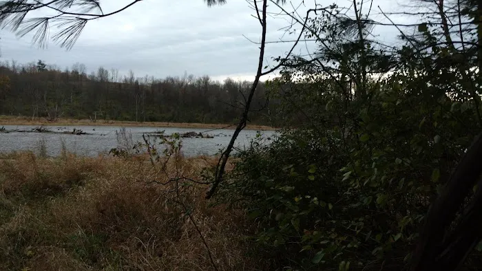 Consolidated Metal Roofing Picture 9