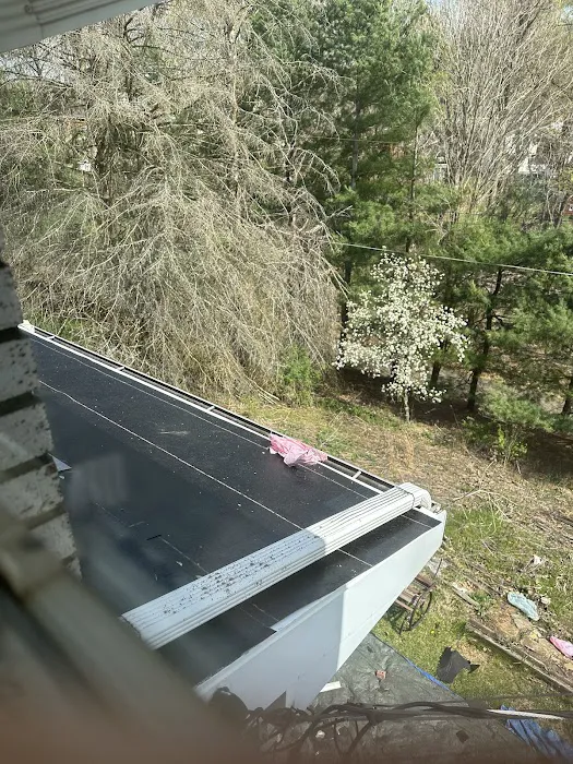 Forestal Roofing & Siding LLC Picture 10