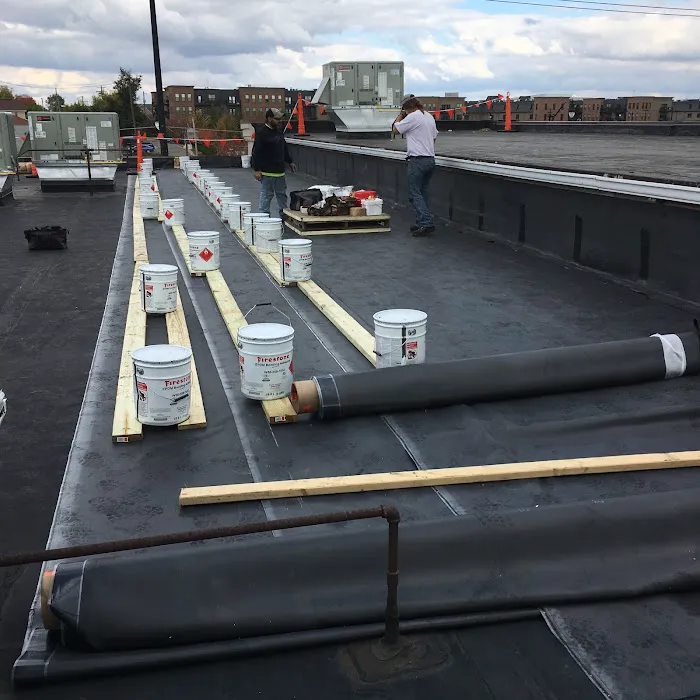 TEMA Roofing Services Picture 2