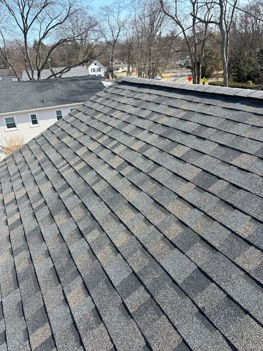 Mighty Dog Roofing Picture 2