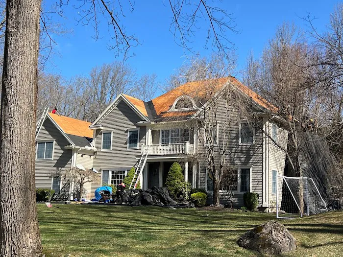 Mighty Dog Roofing Picture 8