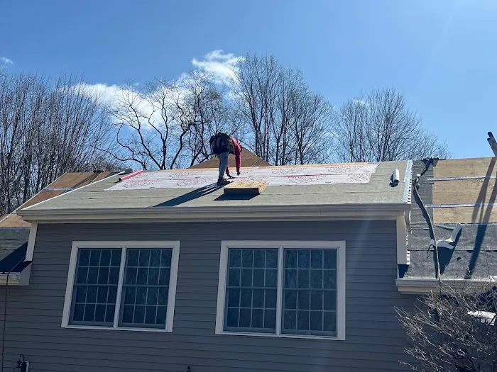 Mighty Dog Roofing Picture 9