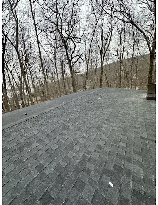 Roslyn Home Improvement Picture 5