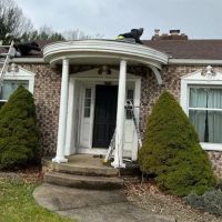 Silverback Roofing ico