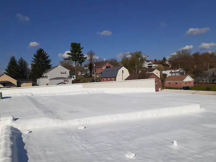 Pro Roof Solutions LLC Picture 2