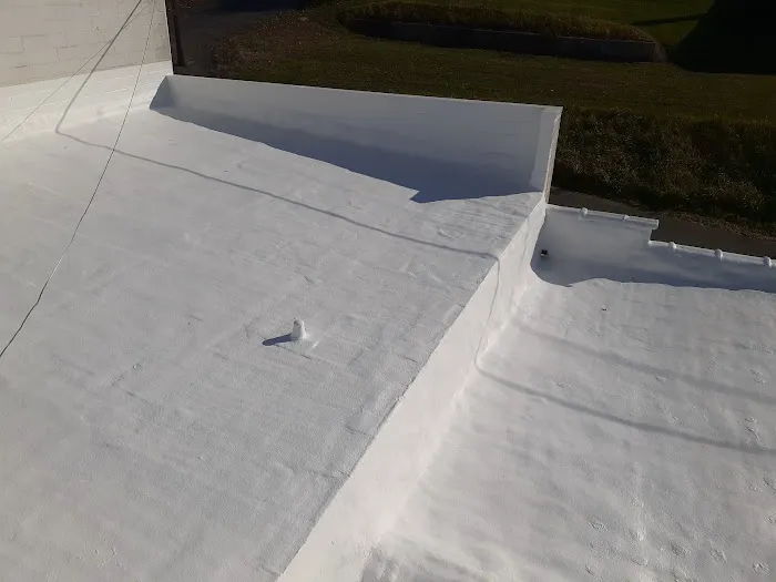 Pro Roof Solutions LLC Picture 7