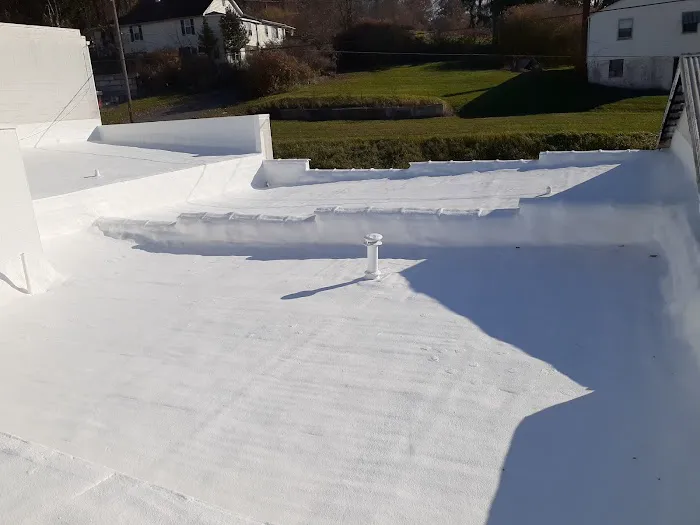 Pro Roof Solutions LLC Picture 8