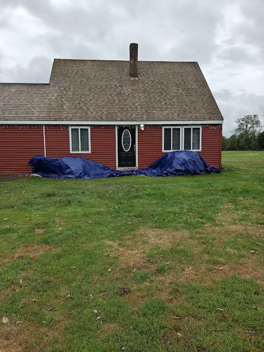 Craig Roof Cleaning Picture 5