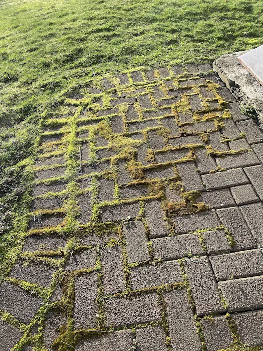 Craig Roof Cleaning Picture 7