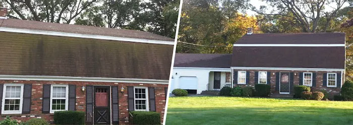 Craig Roof Cleaning Picture 9