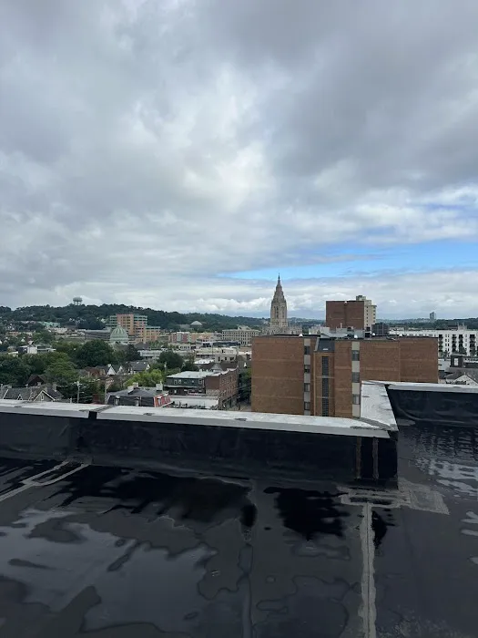 TLC Roofing LLC Picture 5