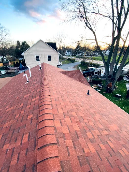 NL Roofing & Carpentry Services Picture 4
