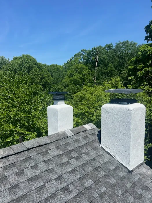 NL Roofing & Carpentry Services Picture 7