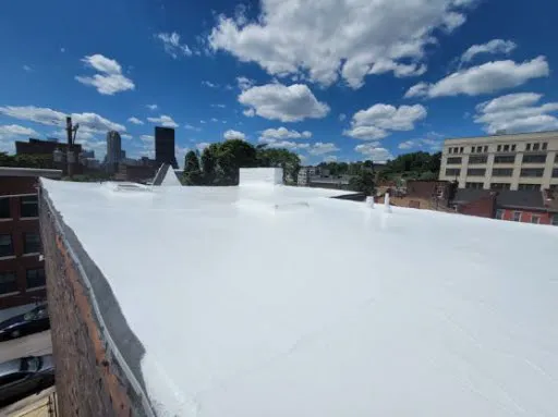 Safe & Sound Roofing Picture 7