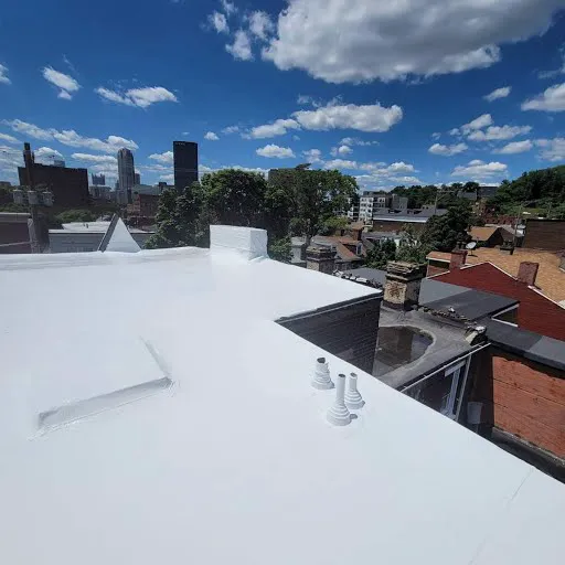 Safe & Sound Roofing Picture 10
