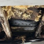 C. Marino construcion inc