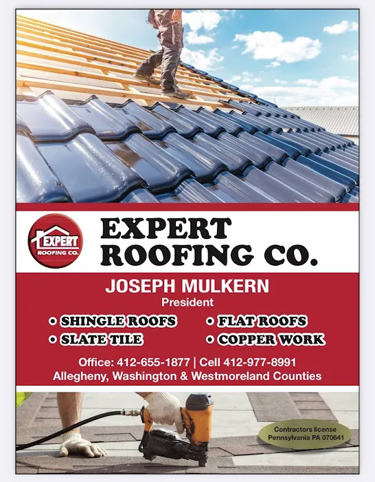 Expert Roofing Co Picture 2