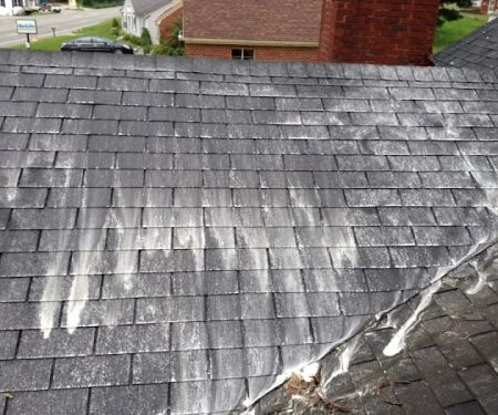 Ugly Roof Morgantown