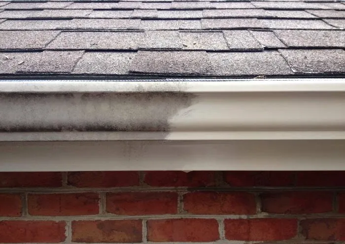 Ugly Roof Morgantown Picture 6