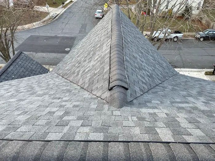 Loudoun Valley Roofing Picture 3