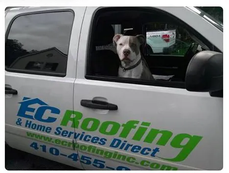 EC Roofing & Home Services Direct Picture 3