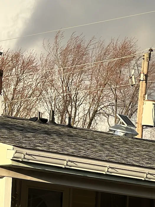 In The Light Roofing Picture 9