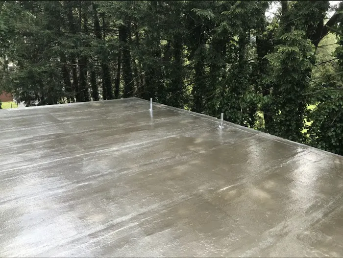 Markou Roofing Picture 2