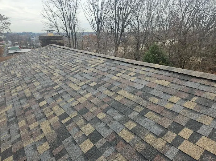 Roof 360 Picture 1