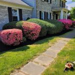 EDM CONSTRUCTION, LLC