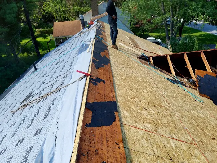 C&A Landscape & Construction Services Llc Picture 2