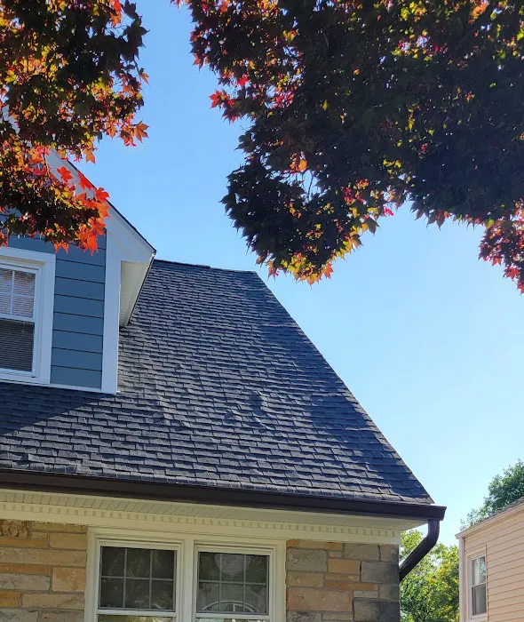 Giant Siding and Windows Picture 9