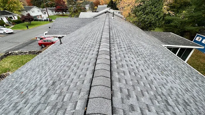Extera Roofing Picture 1