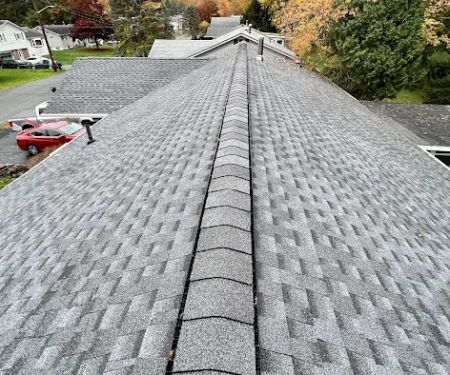 Extera Roofing